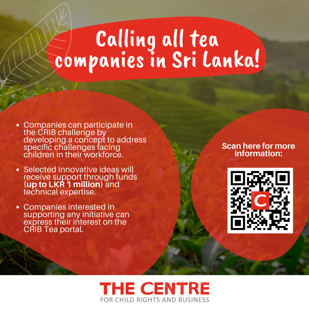The Centre Launches the Child Rights in Business (CRIB) Challenge for Tea Companies based in Sri Lanka